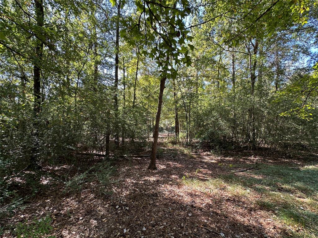 Tbd Holly Trail Property Photo 22