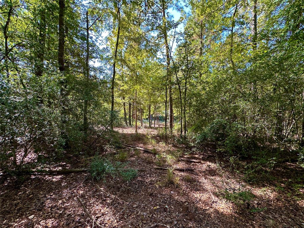 Tbd Holly Trail Property Photo 26