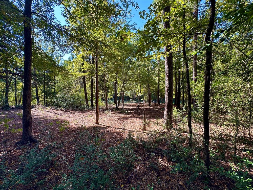 Tbd Holly Trail Property Photo 27