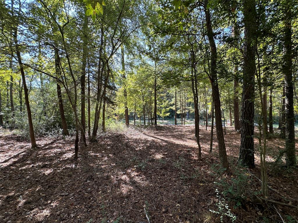 Tbd Holly Trail Property Photo 28