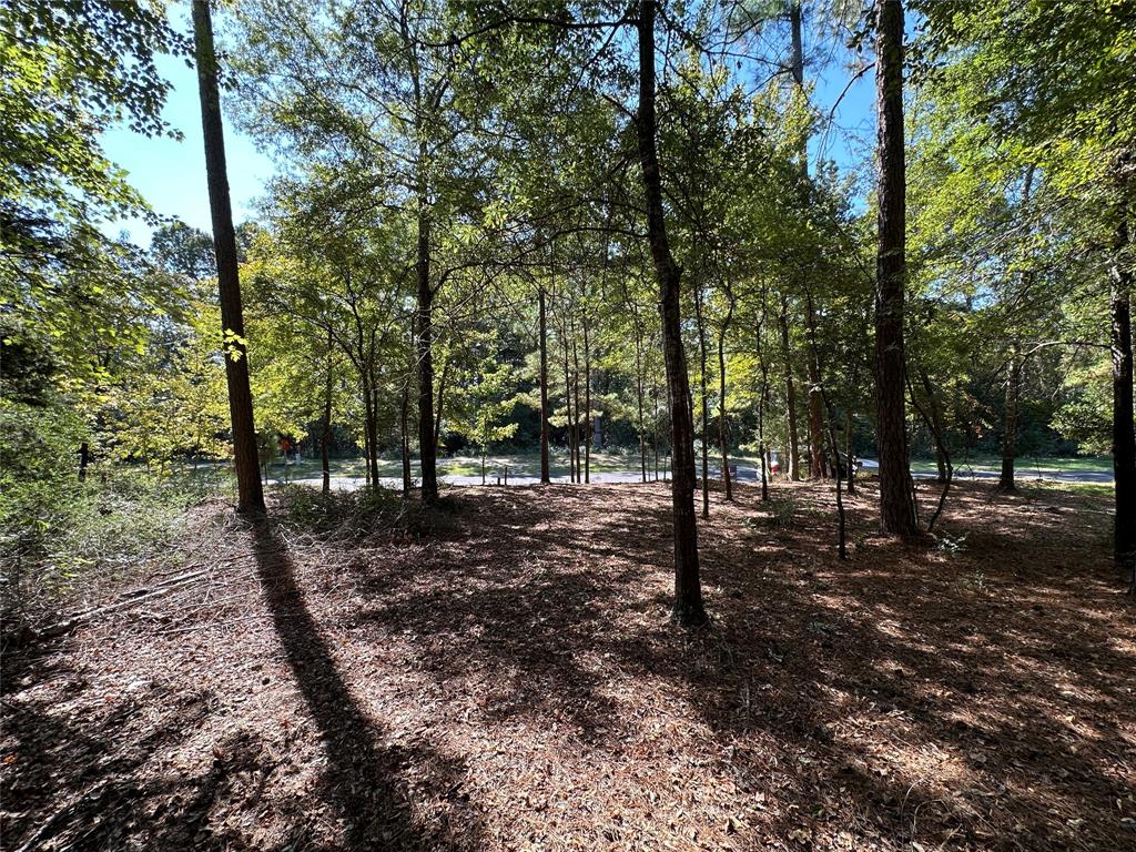 Tbd Holly Trail Property Photo 29