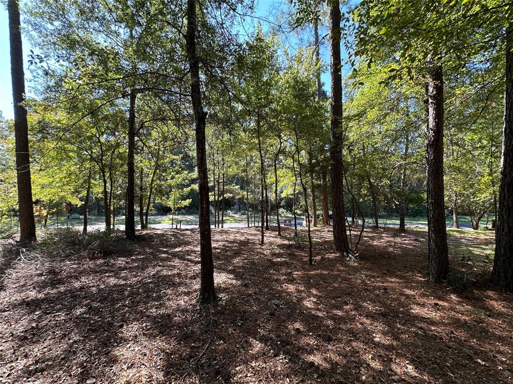 Tbd Holly Trail Property Photo 31