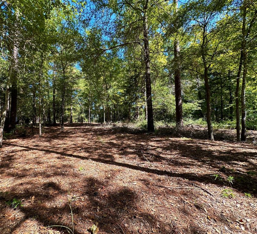 Tbd Holly Trail Property Photo 32