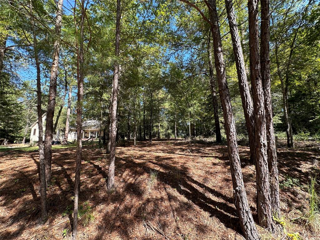Tbd Holly Trail Property Photo 33