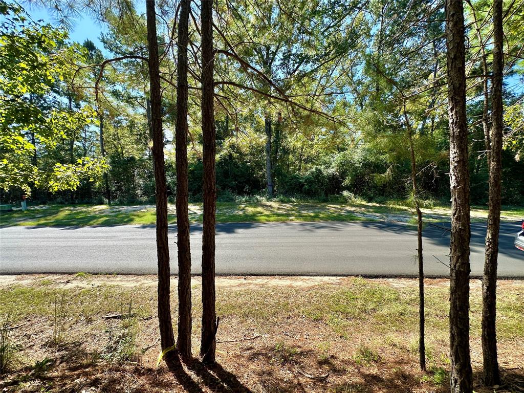 Tbd Holly Trail Property Photo 34