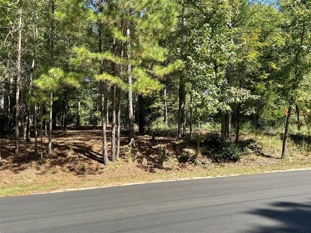 Tbd Holly Trail Property Photo 35