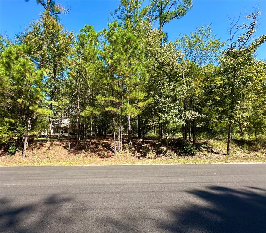 Tbd Holly Trail Property Photo 36
