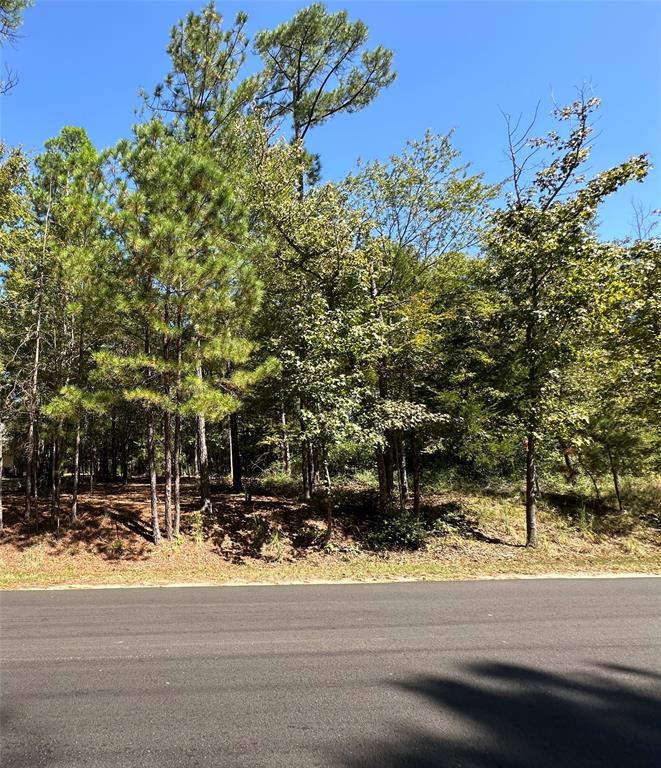 Tbd Holly Trail Property Photo 37