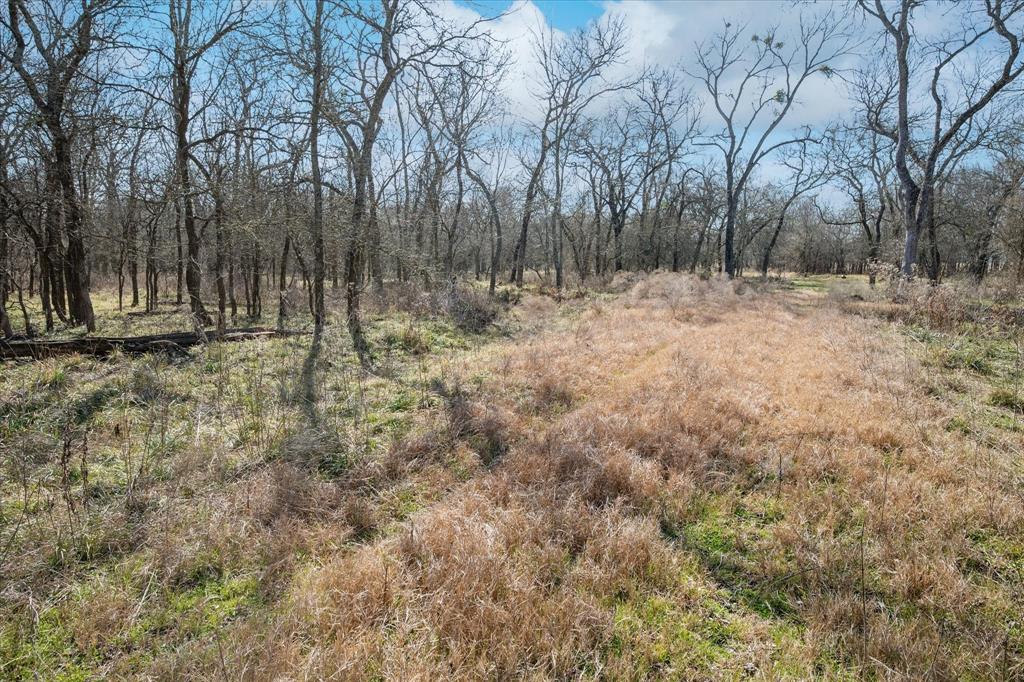 1100 Highpoint Property Photo 13