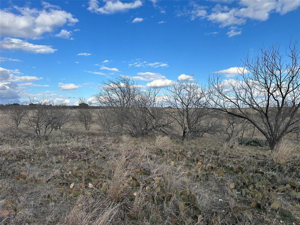 116 Comanche Lake Road Property Photo 4
