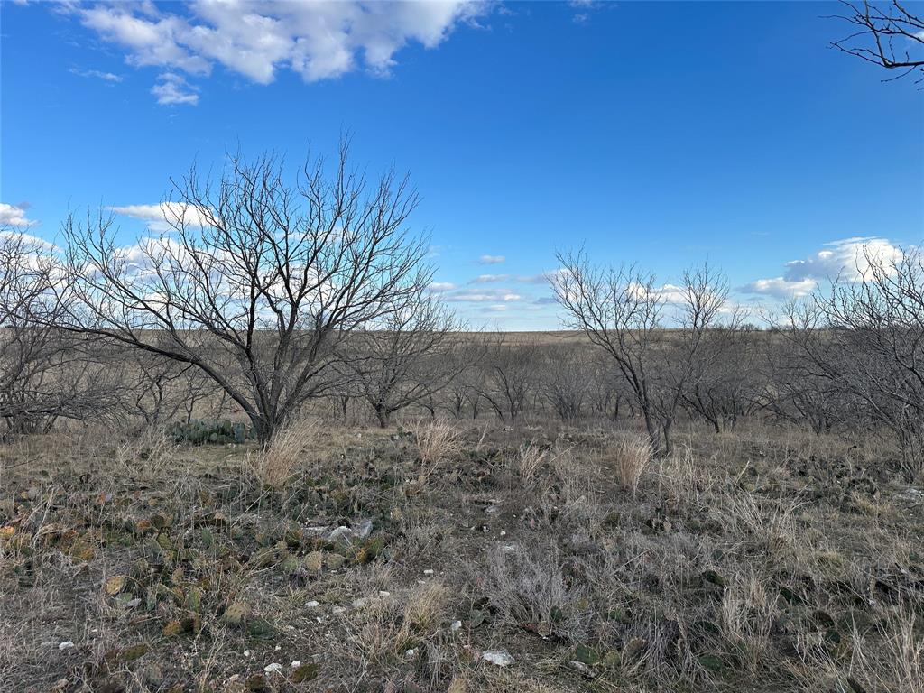 116 Comanche Lake Road Property Photo 9