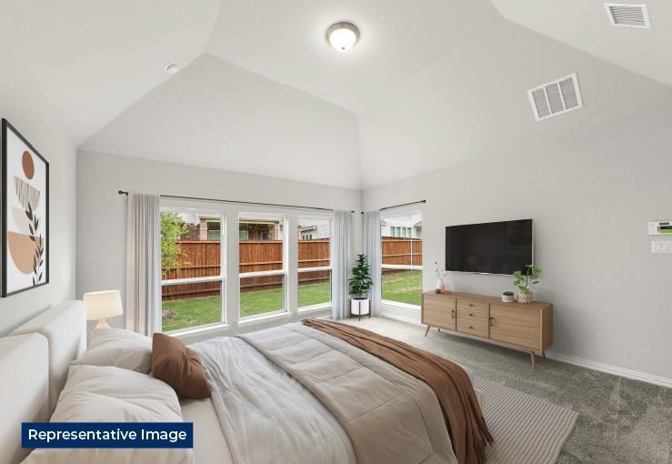813 Golden Galaxy Way Property Photo 9