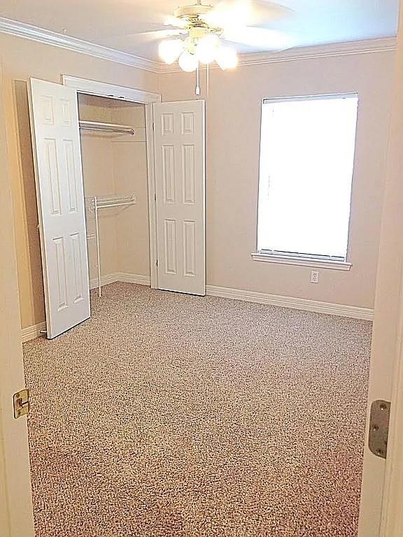 6011 Jason Property Photo 6