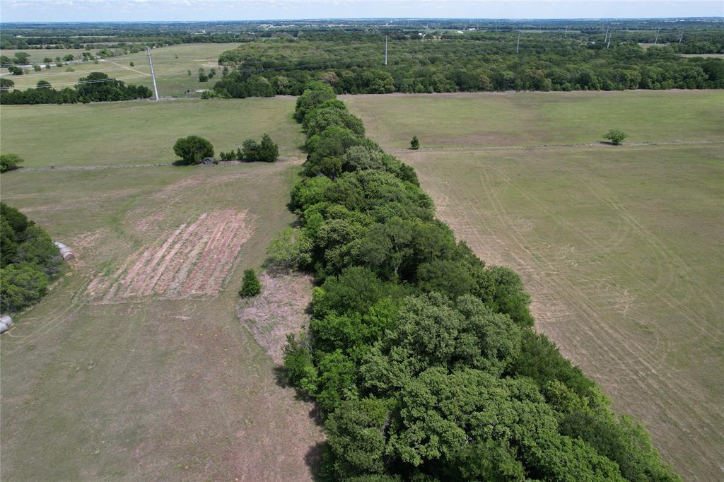 Tbd Fm 1304 Property Photo 6