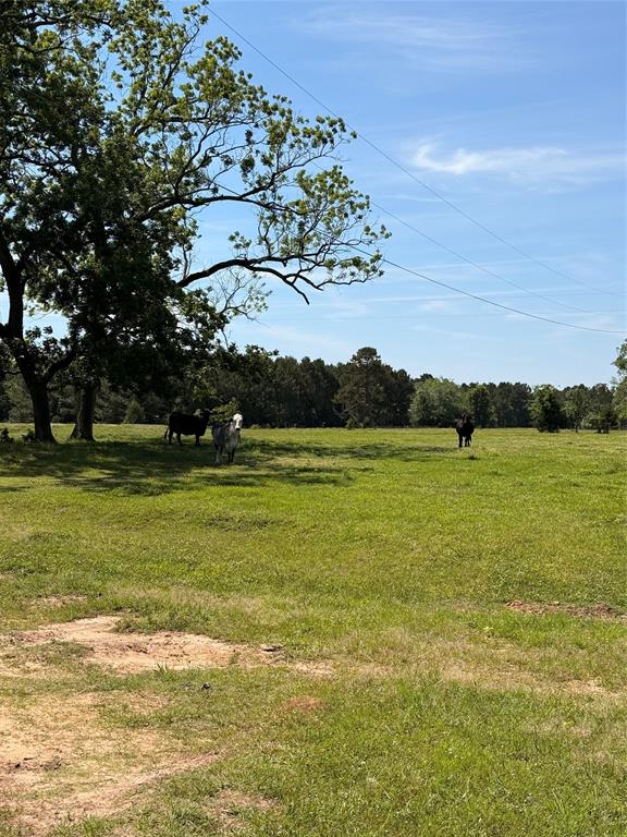 720 Haggerty Road Property Photo 4