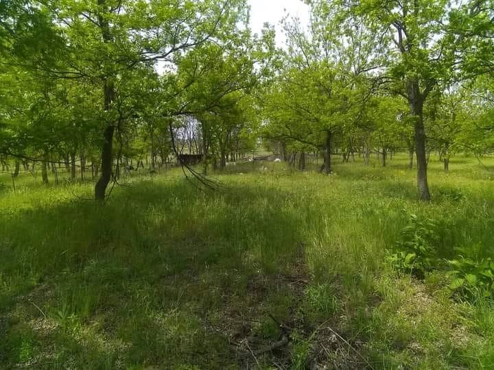 1209 County Road 416