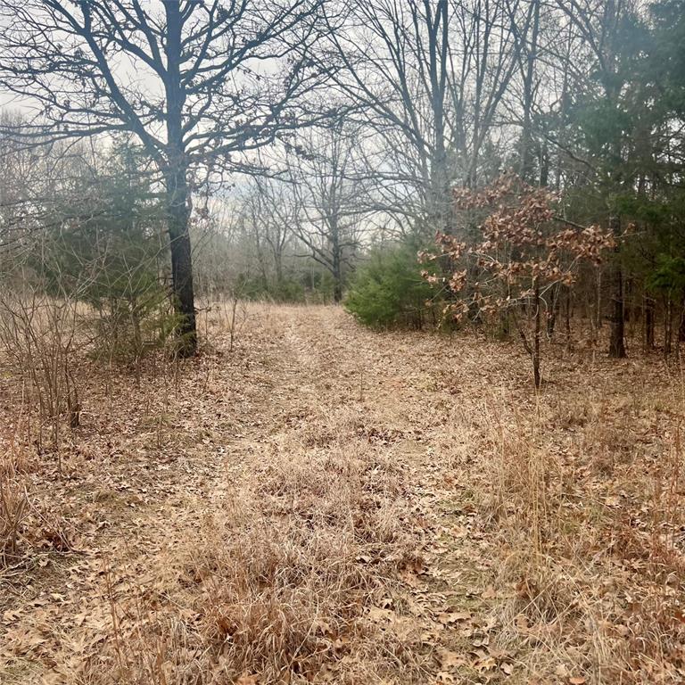 Tbd County Road 4574 13743 Property Photo 1