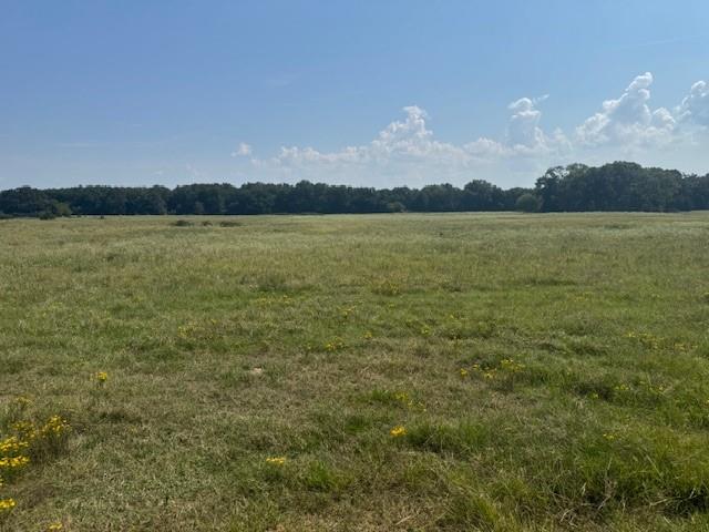 02 County Road 2295 Property Photo 4