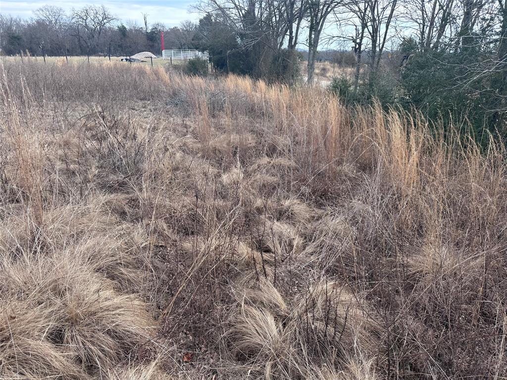 Tbd Cr 4402 Property Photo 2