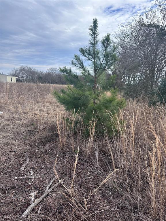Tbd Cr 4402 Property Photo 5