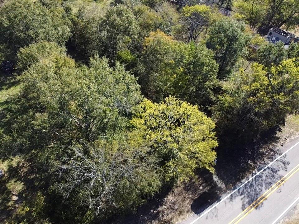 Tbd Fm 1799 Property Photo 6