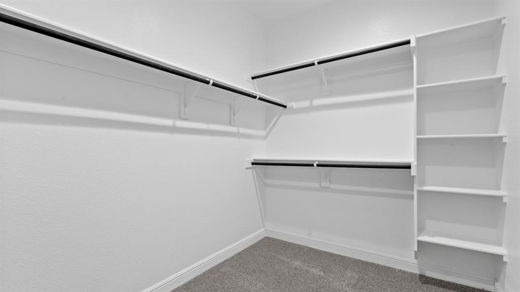11417 Winged Elm Way Property Photo 19