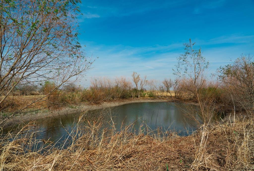 18402 Manda Carlson Road Property Photo 25