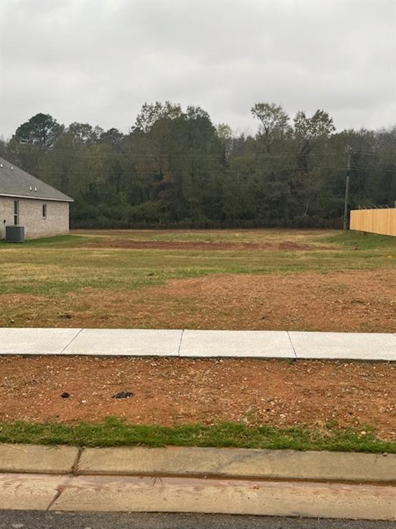 4036 Jayce Michael Drive Property Photo 3