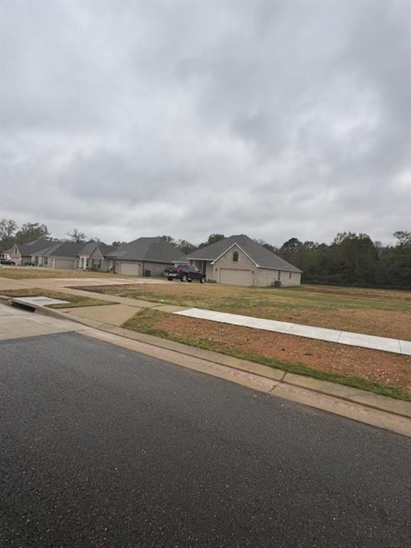 4036 Jayce Michael Drive Property Photo 4