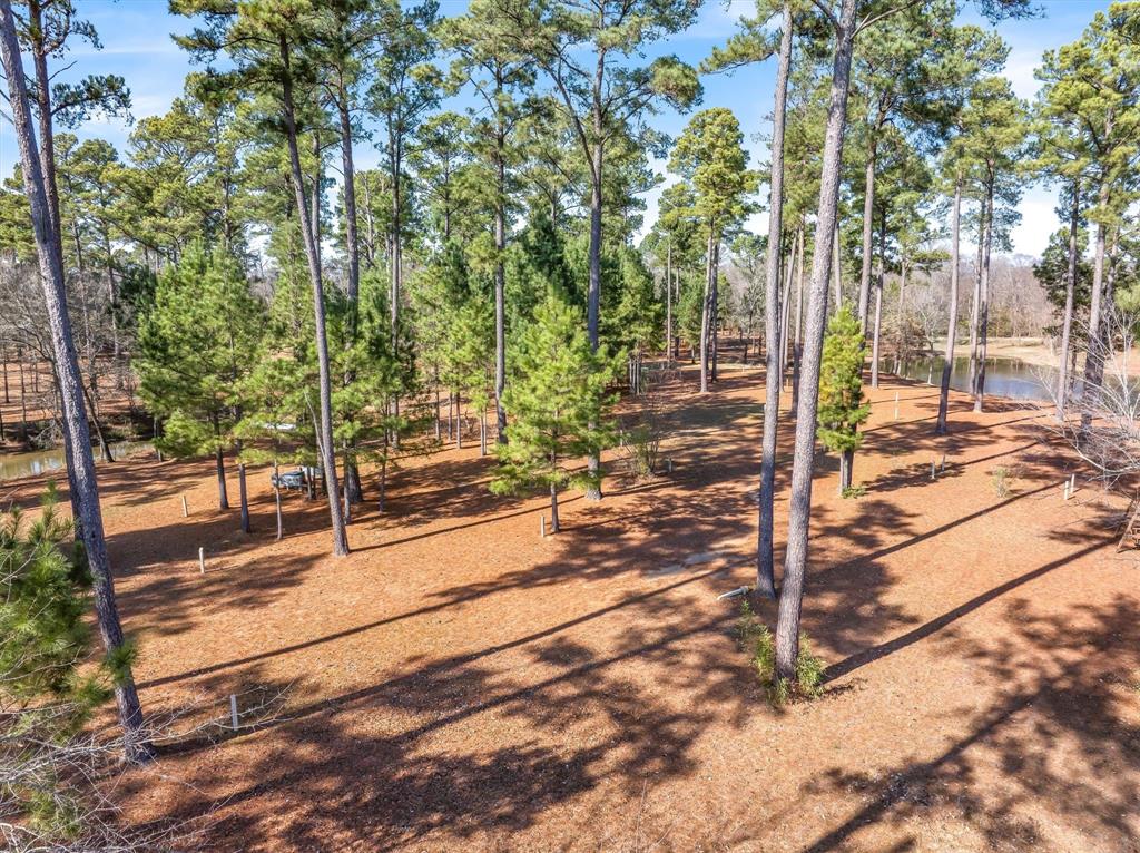 4776 Fm 17 Property Photo 24