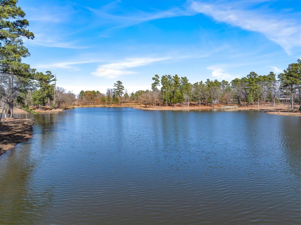 4776 Fm 17 Property Photo 25
