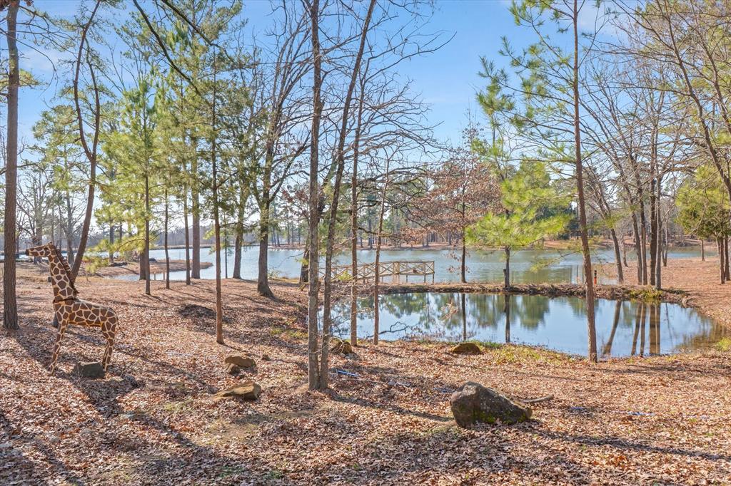 4776 Fm 17 Property Photo 28