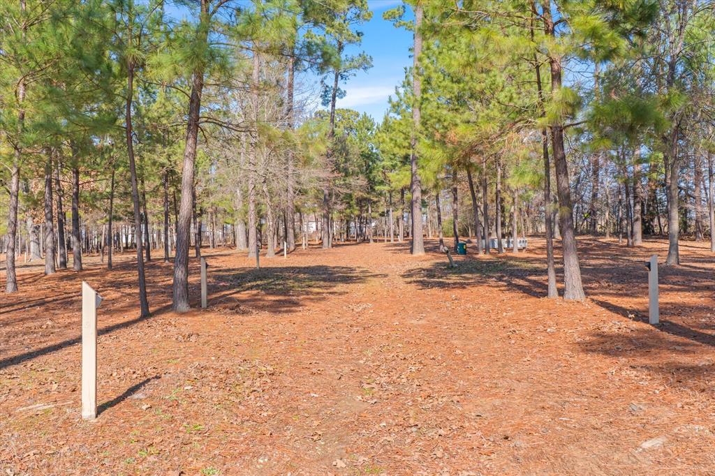 4776 Fm 17 Property Photo 29