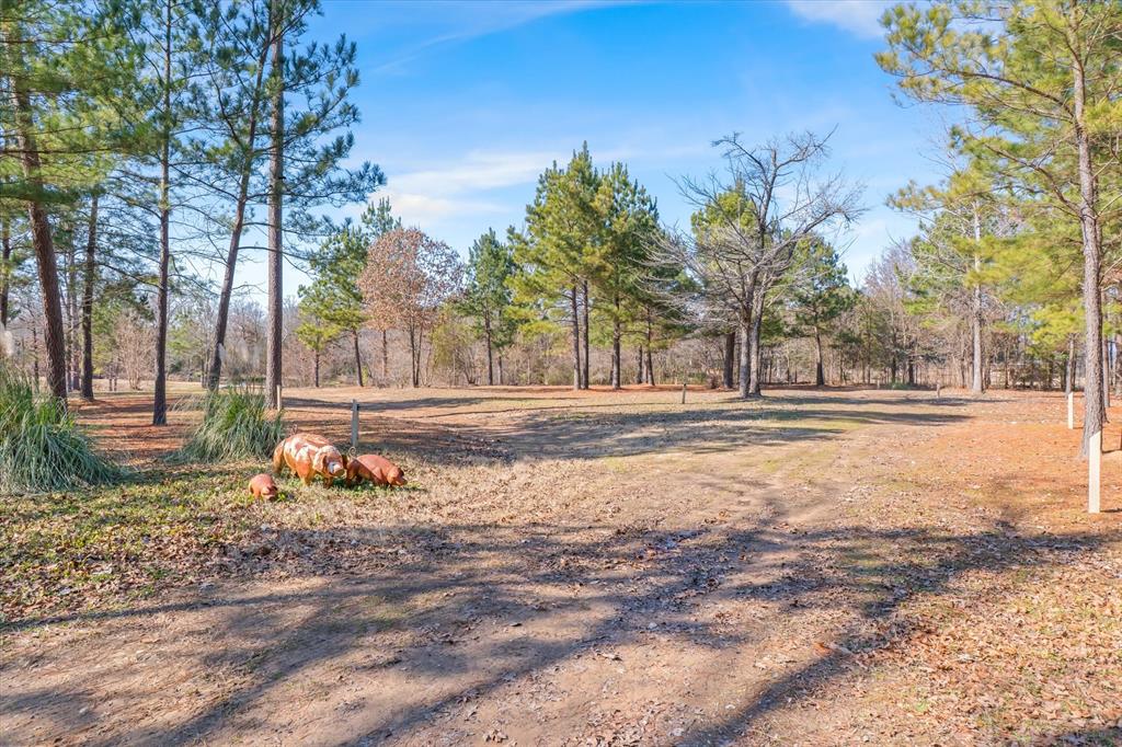 4776 Fm 17 Property Photo 31