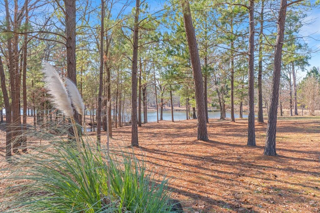 4776 Fm 17 Property Photo 32