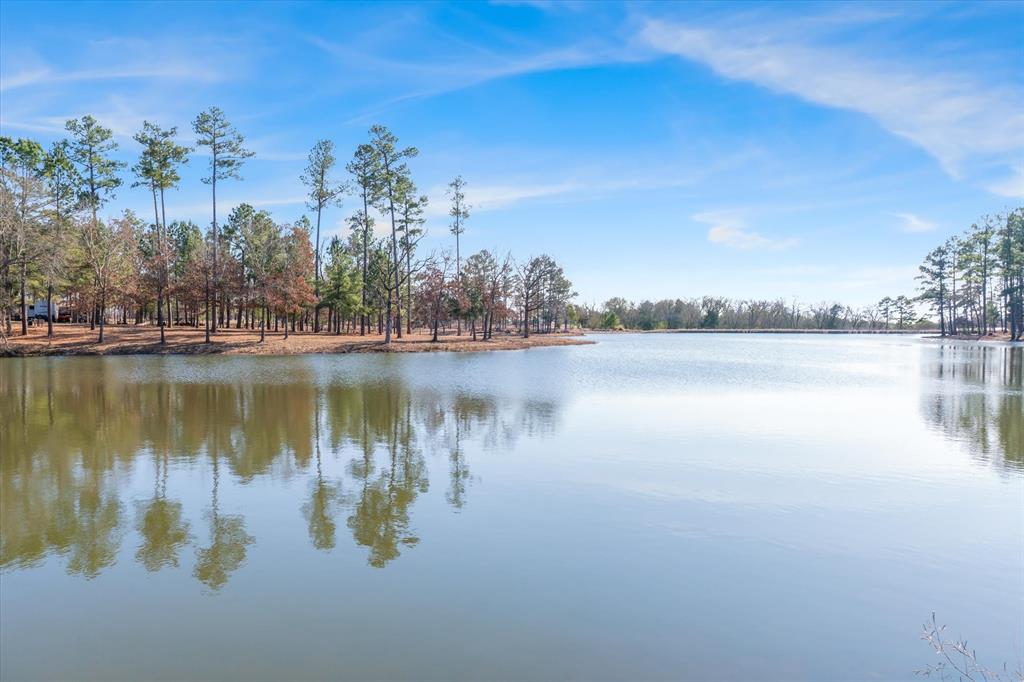 4776 Fm 17 Property Photo 33