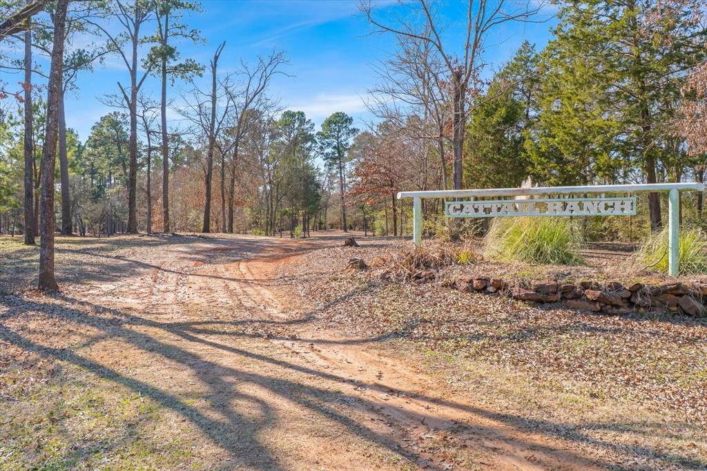 4776 Fm 17 Property Photo 34