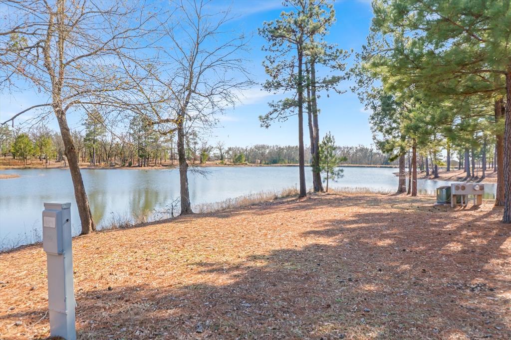 4776 Fm 17 Property Photo 35