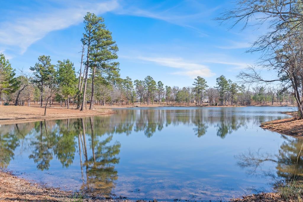 4776 Fm 17 Property Photo 36