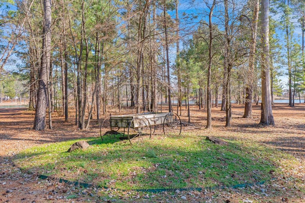 4776 Fm 17 Property Photo 38