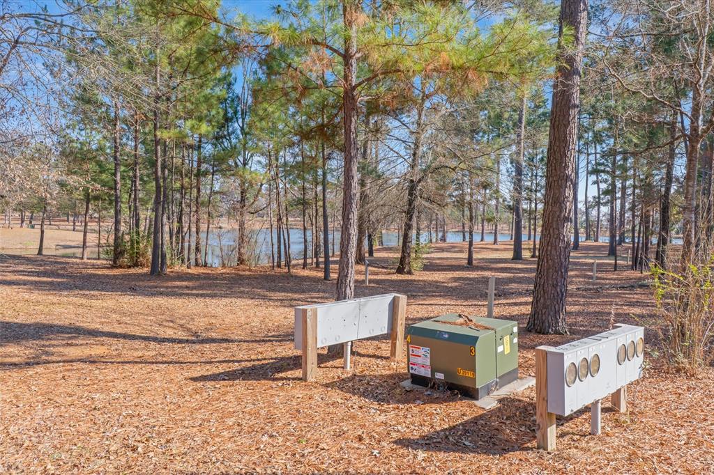 4776 Fm 17 Property Photo 39
