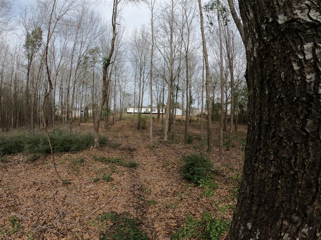141 Tanglewood Drive Property Photo 28