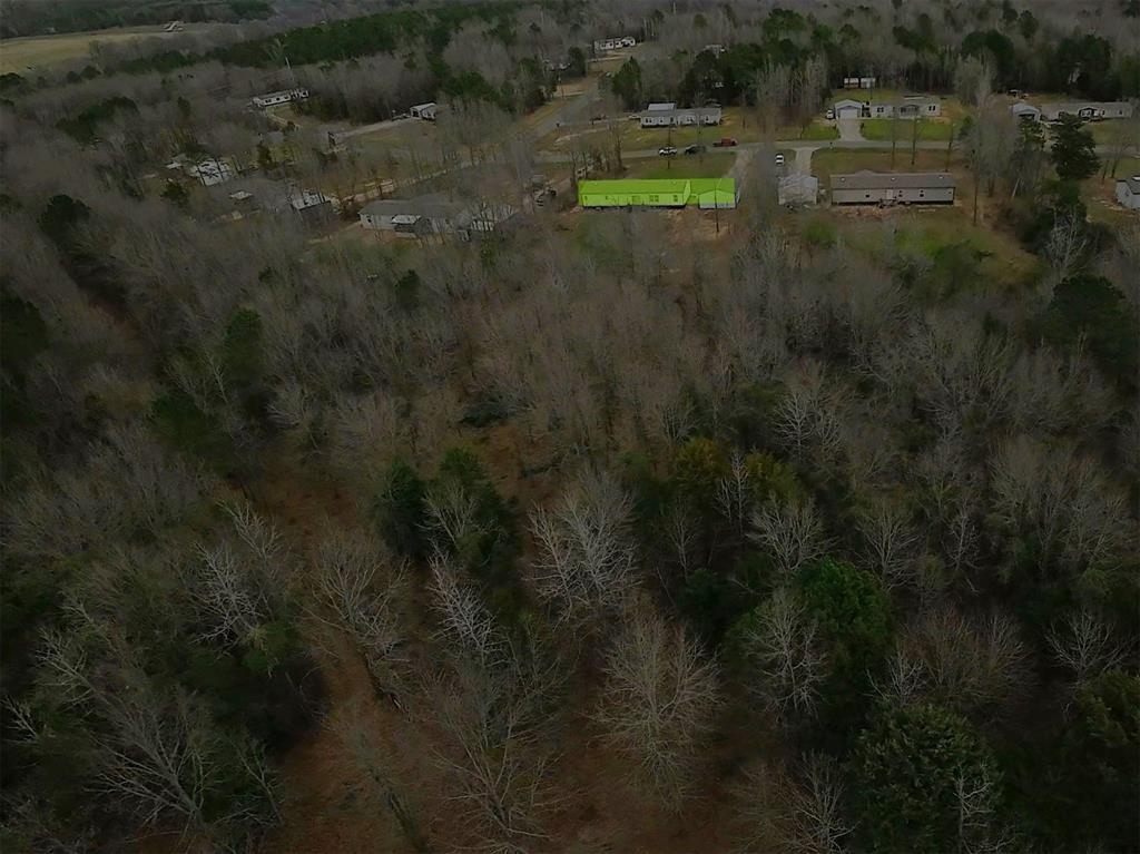 141 Tanglewood Drive Property Photo 29