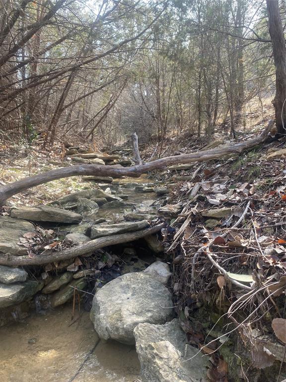 3217 Lakeside Drive Property Photo 6