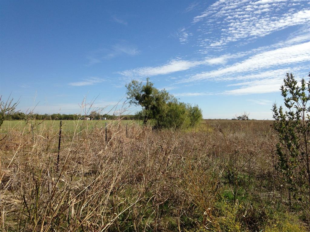 4404 Fm 603 Property Photo 5