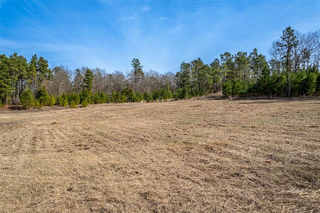 5210 S Us Hwy 79 Property Photo 9