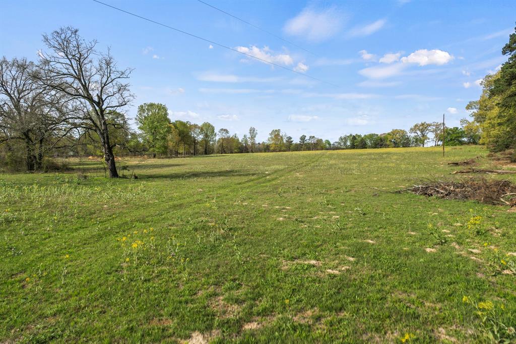 000 County Road 4663 Property Photo 1