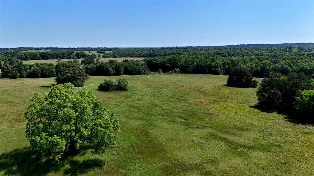 4101 Cr 3703 Property Photo 1