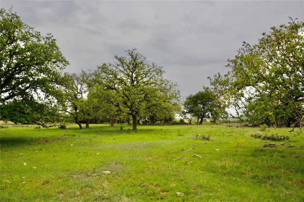 621 E Fm 572 Property Photo 1