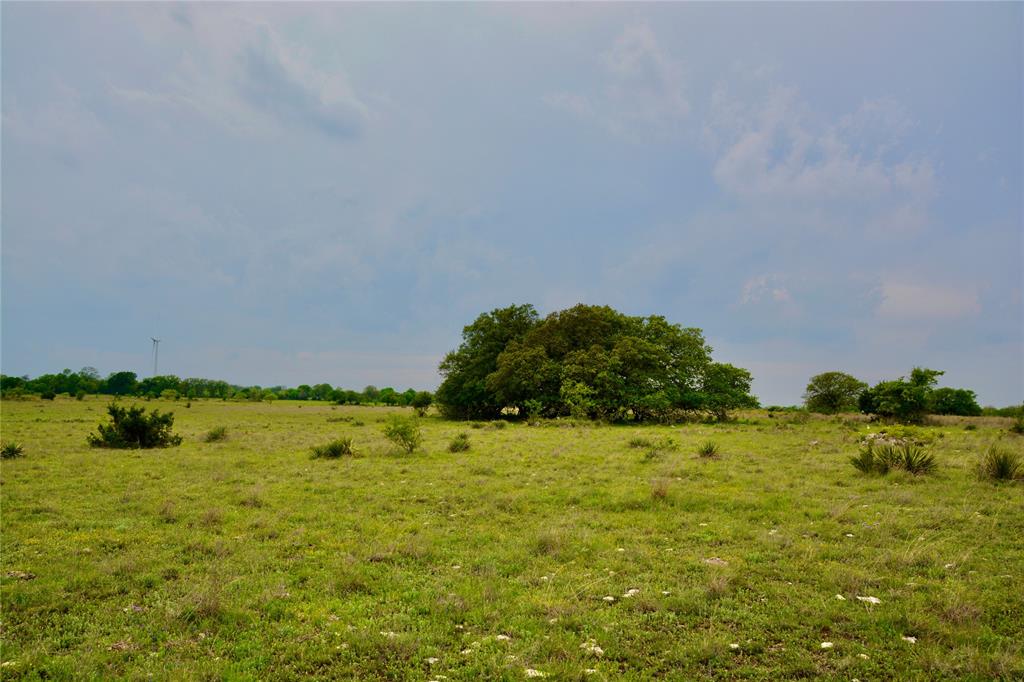621 E Fm 572 Property Photo 9